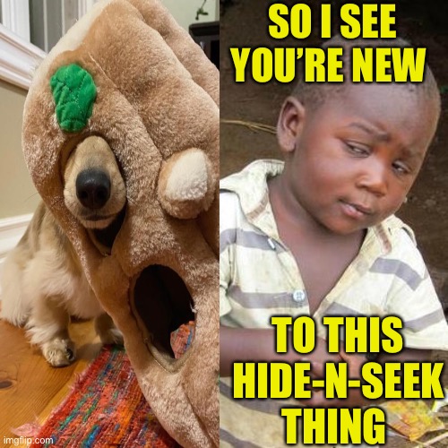 Hide n Seek Fail | SO I SEE YOU’RE NEW; TO THIS HIDE-N-SEEK THING | image tagged in memes,third world skeptical kid,hide and seek,dog,one does not simply,well yes but actually no | made w/ Imgflip meme maker