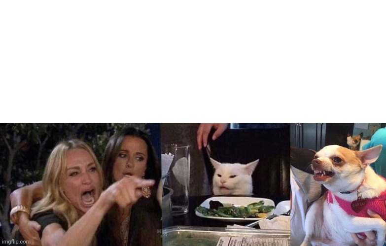 Woman Yelling At Cat (3 Panels) Blank Meme Template