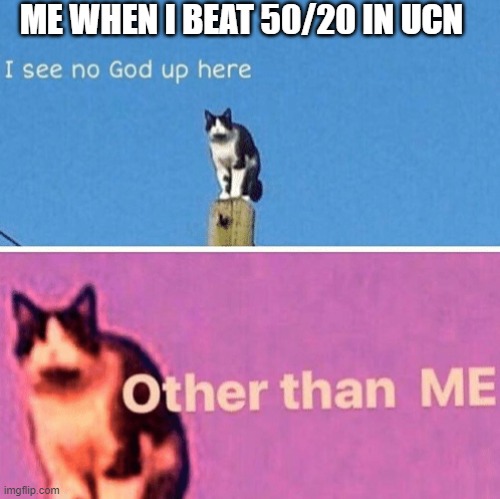 Hail pole cat | ME WHEN I BEAT 50/20 IN UCN | image tagged in hail pole cat | made w/ Imgflip meme maker