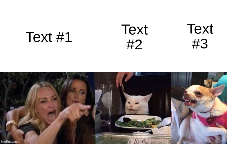 Woman Yelling At Cat (3 Panels) | Text #3; Text #2; Text #1 | image tagged in woman yelling at cat 3 panels | made w/ Imgflip meme maker