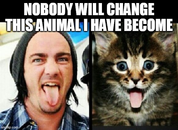 NOBODY WILL CHANGE THIS ANIMAL I HAVE BECOME | image tagged in music,cats | made w/ Imgflip meme maker