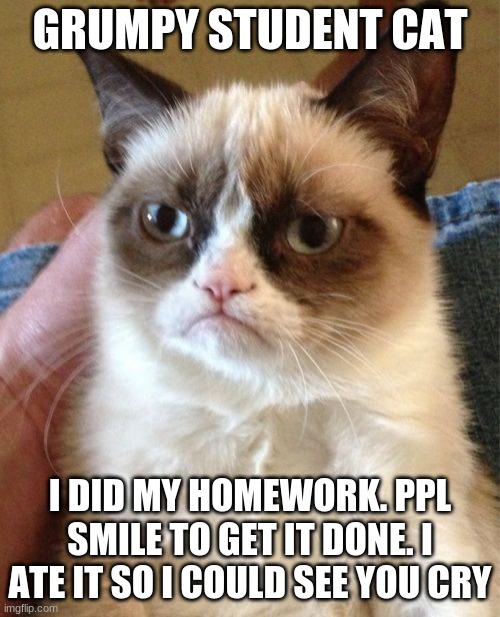 Grumpy Cat | GRUMPY STUDENT CAT; I DID MY HOMEWORK. PPL SMILE TO GET IT DONE. I ATE IT SO I COULD SEE YOU CRY | image tagged in memes,grumpy cat | made w/ Imgflip meme maker