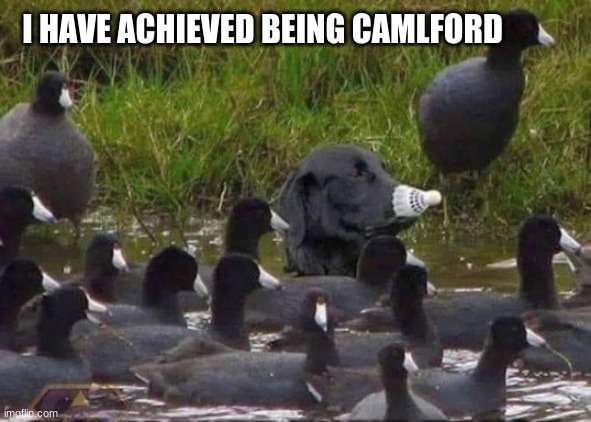 I HAVE ACHIEVED BEING CAMLFORD | image tagged in memes | made w/ Imgflip meme maker