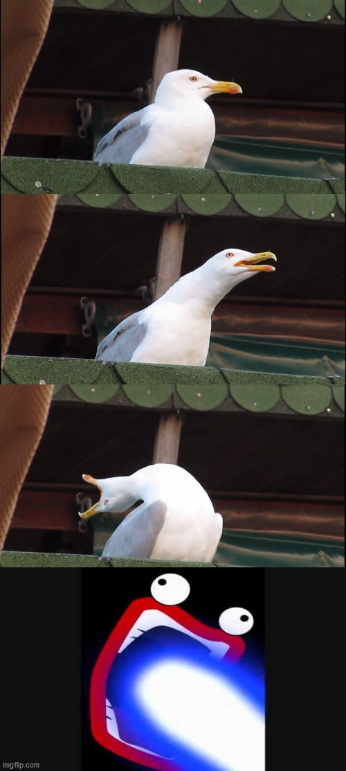Inhaling Seagull | image tagged in memes,inhaling seagull | made w/ Imgflip meme maker