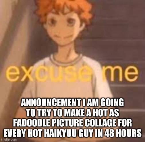 excuse me | ANNOUNCEMENT I AM GOING TO TRY TO MAKE A HOT AS FADOODLE PICTURE COLLAGE FOR EVERY HOT HAIKYUU GUY IN 48 HOURS | image tagged in excuse me | made w/ Imgflip meme maker