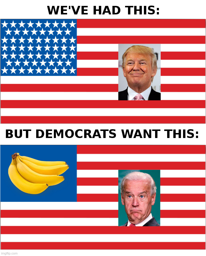 The Biden Banana Republic | image tagged in joe biden,democrats,banana republic,dominion voting systems,voter fraud,donald trump | made w/ Imgflip meme maker
