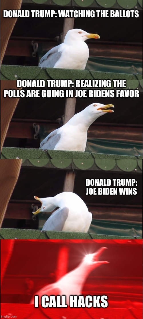 Inhaling Seagull Meme | DONALD TRUMP: WATCHING THE BALLOTS; DONALD TRUMP: REALIZING THE POLLS ARE GOING IN JOE BIDENS FAVOR; DONALD TRUMP: JOE BIDEN WINS; I CALL HACKS | image tagged in memes,inhaling seagull | made w/ Imgflip meme maker