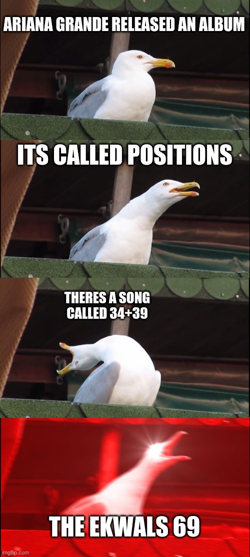 Inhaling Seagull Meme | ARIANA GRANDE RELEASED AN ALBUM; ITS CALLED POSITIONS; THERES A SONG CALLED 34+39; THE EKWALS 69 | image tagged in memes,inhaling seagull | made w/ Imgflip meme maker