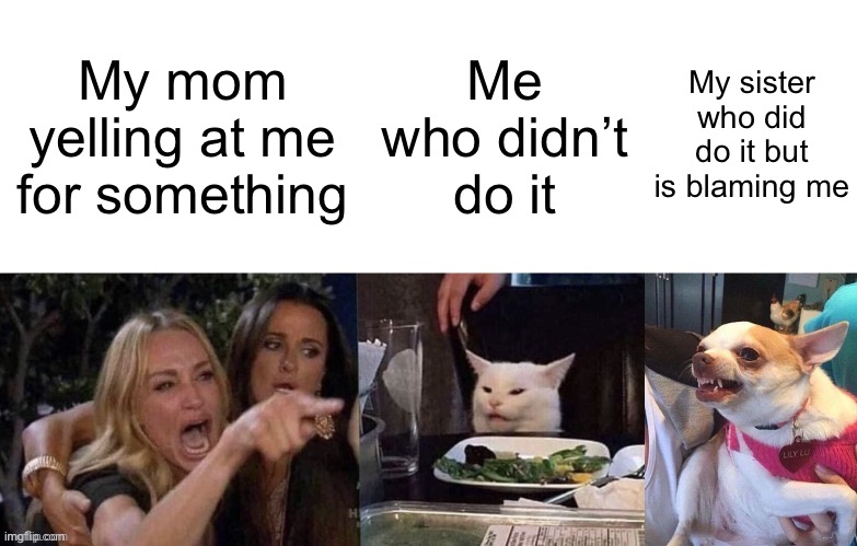 Woman Yelling At Cat (3 Panels) | My sister who did do it but is blaming me; Me who didn’t do it; My mom yelling at me for something | image tagged in woman yelling at cat 3 panels | made w/ Imgflip meme maker