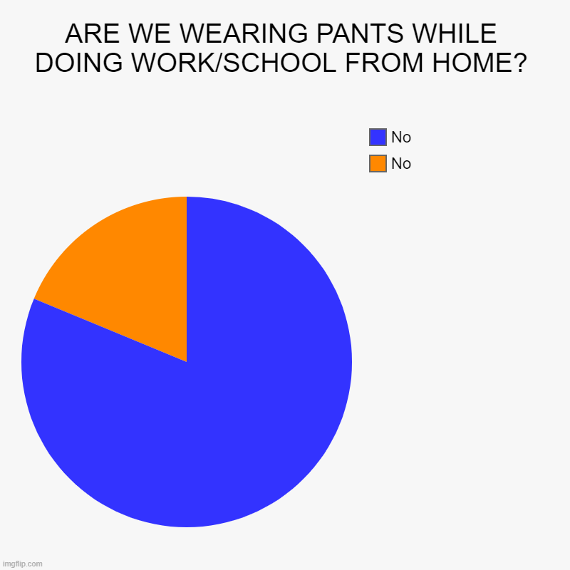 ARE WE WEARING PANTS WHILE DOING WORK/SCHOOL FROM HOME? | No, No | image tagged in charts,pie charts | made w/ Imgflip chart maker