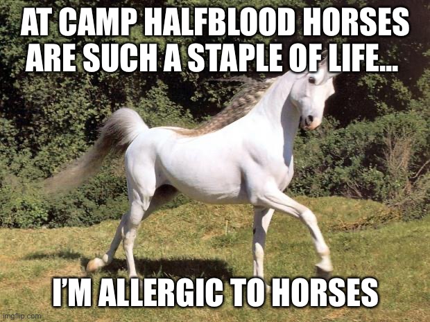 It’s sad and I used to spend my entire day with my grandma’s horse ? | AT CAMP HALFBLOOD HORSES ARE SUCH A STAPLE OF LIFE... I’M ALLERGIC TO HORSES | image tagged in unicorns | made w/ Imgflip meme maker