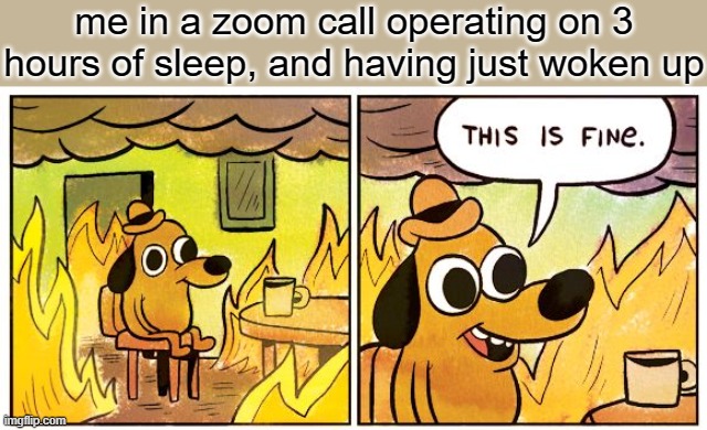 This Is Fine Meme | me in a zoom call operating on 3 hours of sleep, and having just woken up | image tagged in memes,this is fine,i'm 15 so don't try it,who reads these | made w/ Imgflip meme maker