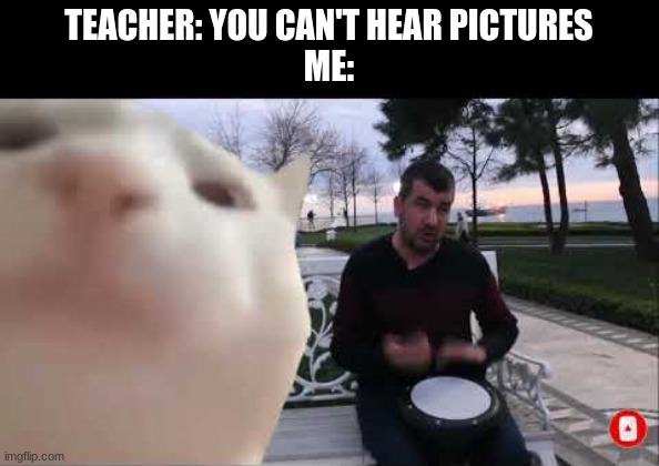 what's the name again | TEACHER: YOU CAN'T HEAR PICTURES
ME: | image tagged in ok | made w/ Imgflip meme maker