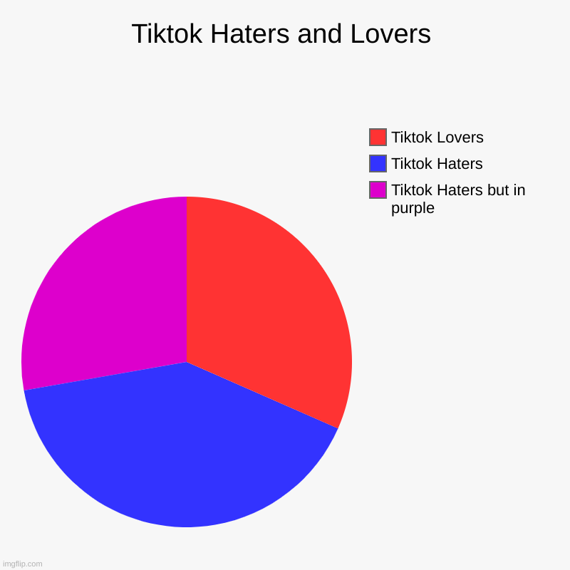 erase the red data PERMANENTLY | Tiktok Haters and Lovers | Tiktok Haters but in purple, Tiktok Haters, Tiktok Lovers | image tagged in charts,pie charts,tik tok sucks | made w/ Imgflip chart maker