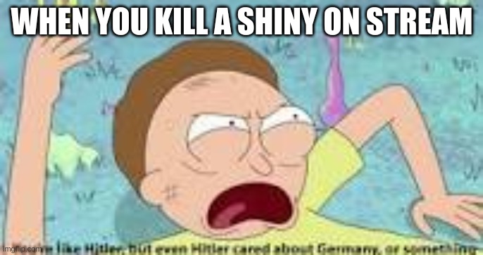 True | WHEN YOU KILL A SHINY ON STREAM | image tagged in your like hitler | made w/ Imgflip meme maker