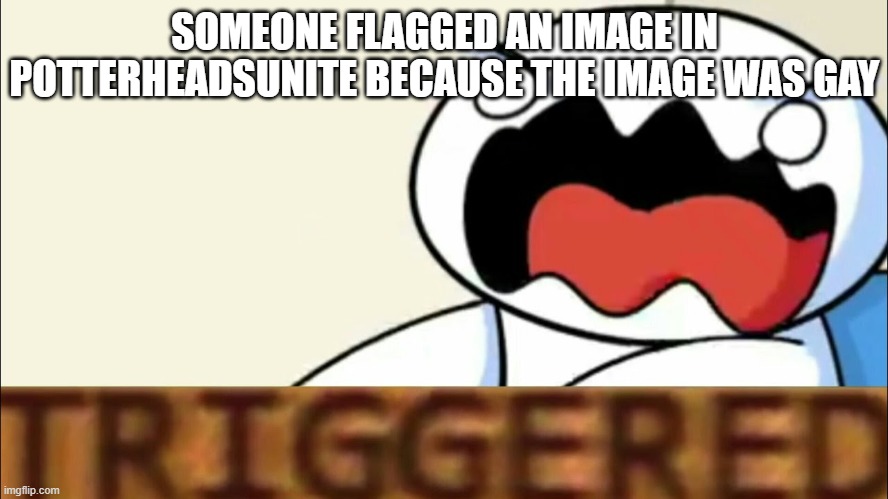 thats just wrong | SOMEONE FLAGGED AN IMAGE IN POTTERHEADSUNITE BECAUSE THE IMAGE WAS GAY | image tagged in theodd1sout triggered | made w/ Imgflip meme maker