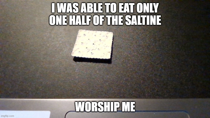 i did it | I WAS ABLE TO EAT ONLY ONE HALF OF THE SALTINE; WORSHIP ME | made w/ Imgflip meme maker