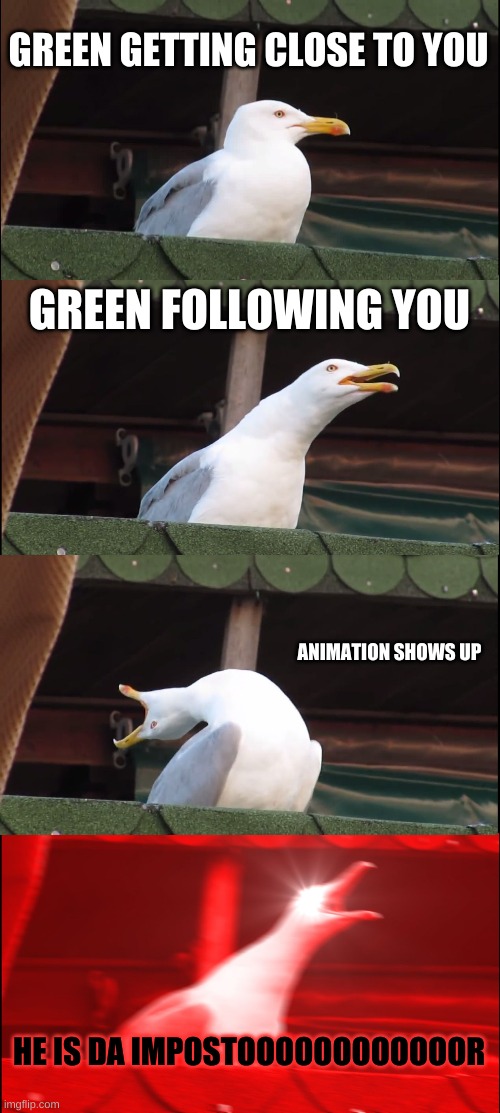 Inhaling Seagull | GREEN GETTING CLOSE TO YOU; GREEN FOLLOWING YOU; ANIMATION SHOWS UP; HE IS DA IMPOSTOOOOOOOOOOOOR | image tagged in memes,inhaling seagull | made w/ Imgflip meme maker