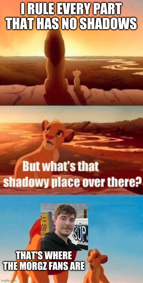 Simba Shadowy Place Meme | I RULE EVERY PART THAT HAS NO SHADOWS; THAT'S WHERE THE MORGZ FANS ARE | image tagged in memes,simba shadowy place | made w/ Imgflip meme maker