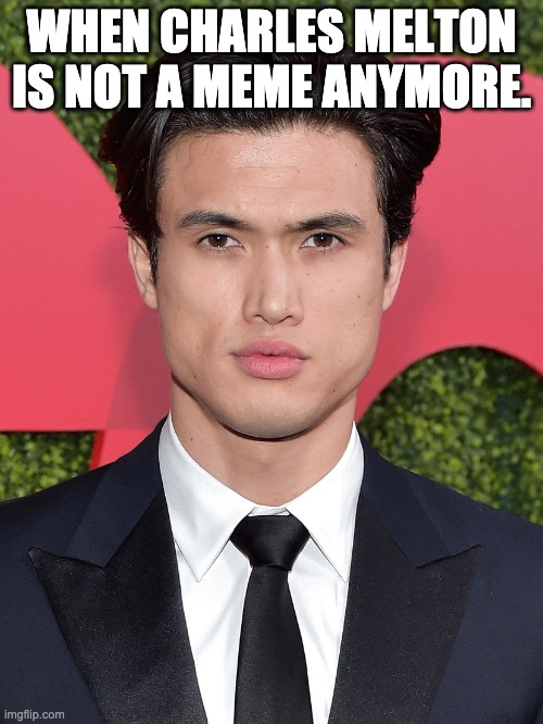 Charles Melton | WHEN CHARLES MELTON IS NOT A MEME ANYMORE. | image tagged in charles melton,memes,funny memes | made w/ Imgflip meme maker
