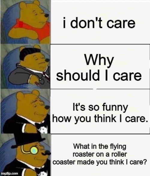 lol | i don't care; Why should I care; It's so funny how you think I care. What in the flying roaster on a roller coaster made you think I care? | image tagged in tuxedo winnie the pooh 4 panel | made w/ Imgflip meme maker