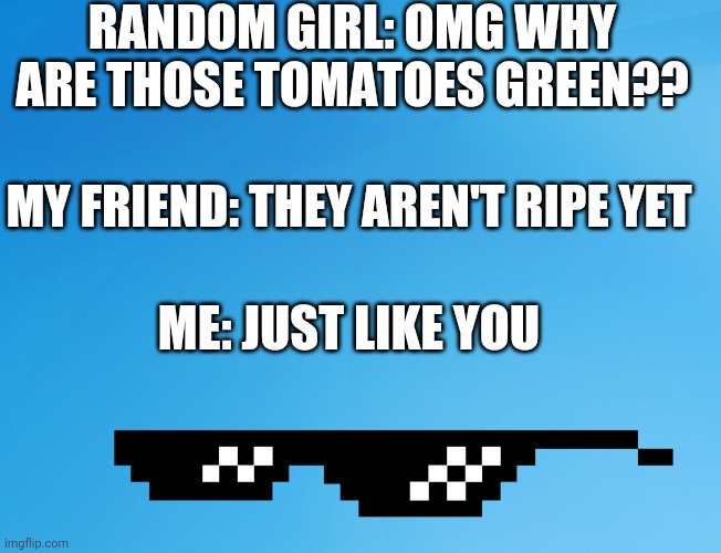 Me casually burning people I don't know | RANDOM GIRL: OMG WHY ARE THOSE TOMATOES GREEN?? MY FRIEND: THEY AREN'T RIPE YET; ME: JUST LIKE YOU | image tagged in burn | made w/ Imgflip meme maker