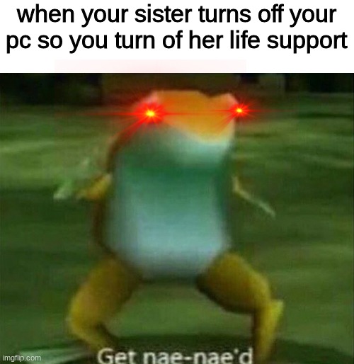 Get nae-nae'd | when your sister turns off your pc so you turn of her life support | image tagged in get nae-nae'd,memes,funny,life support,when your x turns off your y | made w/ Imgflip meme maker