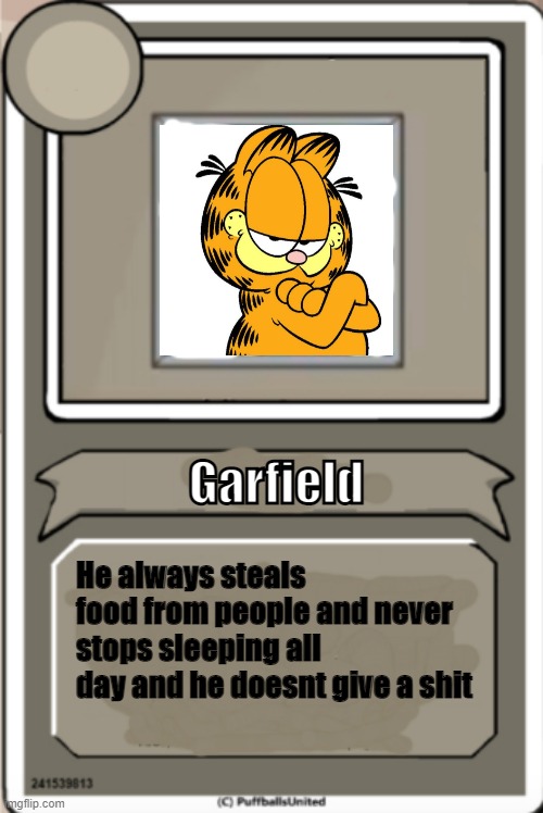 But this is true | Garfield; He always steals food from people and never stops sleeping all day and he doesnt give a shit | image tagged in character bio,garfield | made w/ Imgflip meme maker