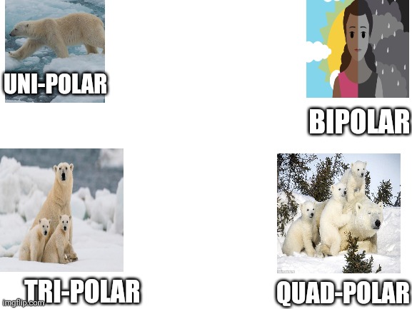 Blank White Template | UNI-POLAR; BIPOLAR; TRI-POLAR; QUAD-POLAR | image tagged in blank white template | made w/ Imgflip meme maker