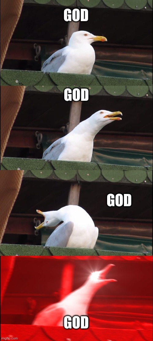 Inhaling Seagull | GOD; GOD; GOD; GOD | image tagged in memes,inhaling seagull | made w/ Imgflip meme maker