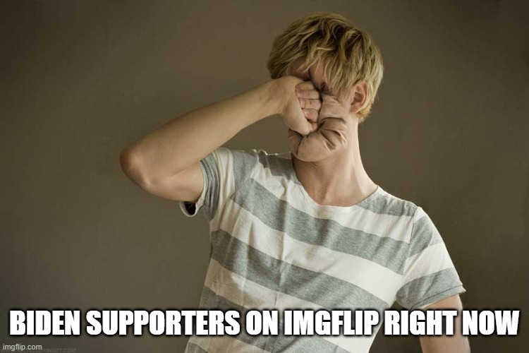 Punching Yourself In The Face | BIDEN SUPPORTERS ON IMGFLIP RIGHT NOW | image tagged in punching yourself in the face | made w/ Imgflip meme maker