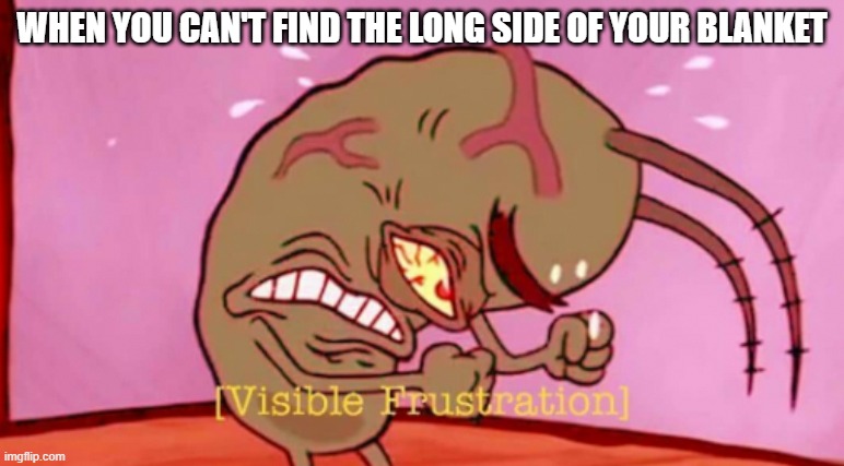 So annoying | WHEN YOU CAN'T FIND THE LONG SIDE OF YOUR BLANKET | image tagged in visible frustration hd | made w/ Imgflip meme maker