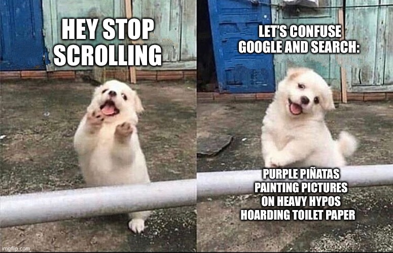 Hey, stop scrolling | LET’S CONFUSE GOOGLE AND SEARCH:; HEY STOP SCROLLING; PURPLE PIÑATAS PAINTING PICTURES ON HEAVY HYPOS HOARDING TOILET PAPER | image tagged in hey stop scrolling | made w/ Imgflip meme maker