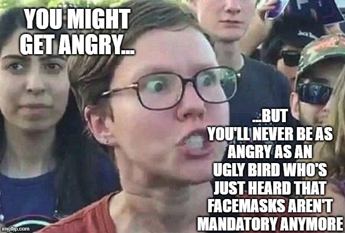 facemanks |  YOU MIGHT GET ANGRY... ...BUT YOU'LL NEVER BE AS ANGRY AS AN UGLY BIRD WHO'S JUST HEARD THAT FACEMASKS AREN'T MANDATORY ANYMORE | image tagged in meme angry woman,face mask,covid-19,pandemic | made w/ Imgflip meme maker