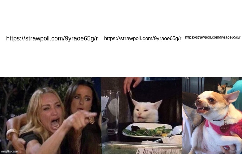 https://strawpoll.com/9yraoe65g/ | https://strawpoll.com/9yraoe65g/r; https://strawpoll.com/9yraoe65g/r; https://strawpoll.com/9yraoe65g/r | image tagged in woman yelling at cat 3 panels | made w/ Imgflip meme maker