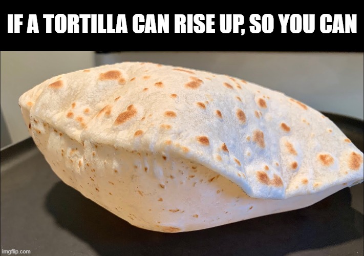 Whole wheat - some | IF A TORTILLA CAN RISE UP, SO YOU CAN | image tagged in wholesome | made w/ Imgflip meme maker