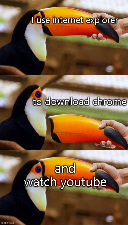 I use internet explorer; to download chrome; and watch youtube | image tagged in toucan beak | made w/ Imgflip meme maker