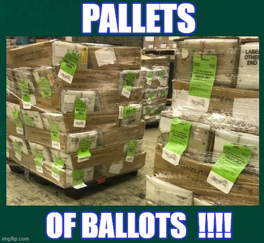Pallets of Ballots | PALLETS; OF BALLOTS  !!!! | image tagged in politics | made w/ Imgflip meme maker