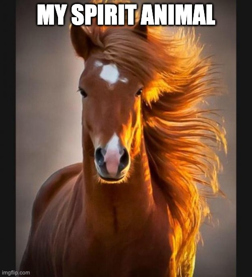 Horse | MY SPIRIT ANIMAL | image tagged in horse | made w/ Imgflip meme maker