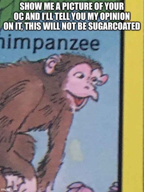 Chimpanzee pog | SHOW ME A PICTURE OF YOUR OC AND I’LL TELL YOU MY OPINION ON IT, THIS WILL NOT BE SUGARCOATED | image tagged in chimpanzee pog | made w/ Imgflip meme maker