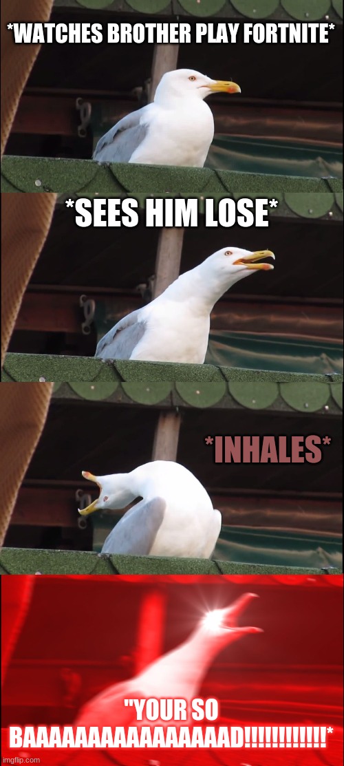 WHen you see your bro lose at fortnite | *WATCHES BROTHER PLAY FORTNITE*; *SEES HIM LOSE*; *INHALES*; "YOUR SO BAAAAAAAAAAAAAAAAD!!!!!!!!!!!!* | image tagged in memes,inhaling seagull | made w/ Imgflip meme maker