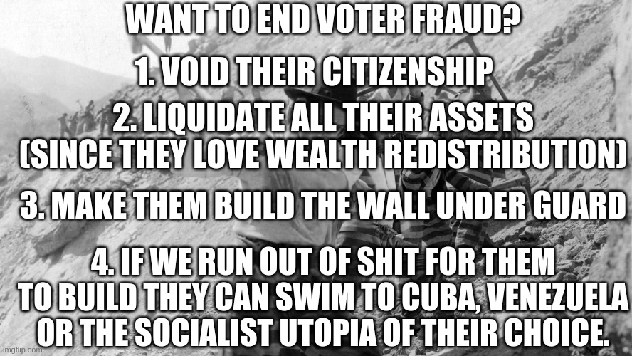 End Voter Fraud | 1. VOID THEIR CITIZENSHIP; WANT TO END VOTER FRAUD? 2. LIQUIDATE ALL THEIR ASSETS (SINCE THEY LOVE WEALTH REDISTRIBUTION); 3. MAKE THEM BUILD THE WALL UNDER GUARD; 4. IF WE RUN OUT OF SHIT FOR THEM TO BUILD THEY CAN SWIM TO CUBA, VENEZUELA OR THE SOCIALIST UTOPIA OF THEIR CHOICE. | image tagged in 2020riggedelection,voter fraud,punish all traitors no matter what party they are | made w/ Imgflip meme maker