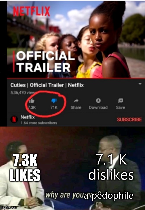 why u do this |  7.1 K dislikes; 7.3K LIKES; a pedophile | image tagged in why are you gay | made w/ Imgflip meme maker