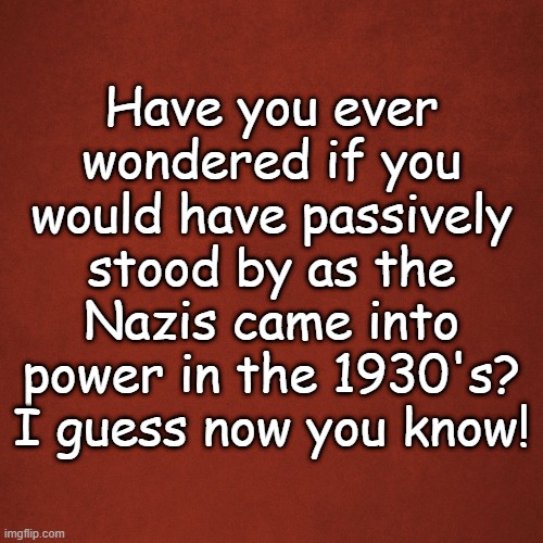 Nazis | Have you ever wondered if you would have passively stood by as the Nazis came into power in the 1930's? I guess now you know! | image tagged in blank red background | made w/ Imgflip meme maker