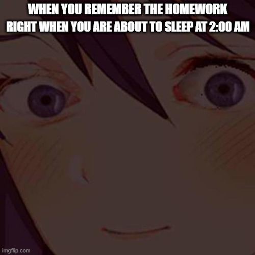 when you just remembered that one math homework at night | RIGHT WHEN YOU ARE ABOUT TO SLEEP AT 2:00 AM; WHEN YOU REMEMBER THE HOMEWORK | image tagged in homework,ddlc,sleep,sleeping,memes | made w/ Imgflip meme maker