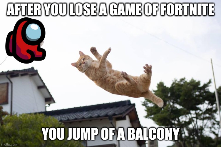 Cat falling | AFTER YOU LOSE A GAME OF FORTNITE; YOU JUMP OF A BALCONY | image tagged in cat falling | made w/ Imgflip meme maker