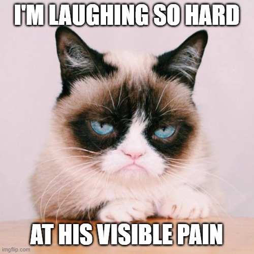 grumpy cat again | I'M LAUGHING SO HARD AT HIS VISIBLE PAIN | image tagged in grumpy cat again | made w/ Imgflip meme maker