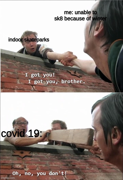 any sk8ers out there? | me: unable to sk8 because of winter; indoor skateparks; covid 19: | image tagged in i got you brother | made w/ Imgflip meme maker