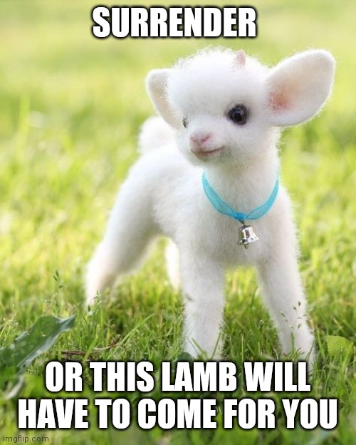 SURRENDER; OR THIS LAMB WILL HAVE TO COME FOR YOU | made w/ Imgflip meme maker