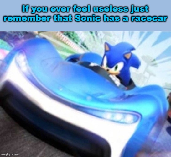 What's The Point of Him Having One? | If you ever feel useless just remember that Sonic has a racecar | image tagged in memes,sonic the hedgehog,huh | made w/ Imgflip meme maker